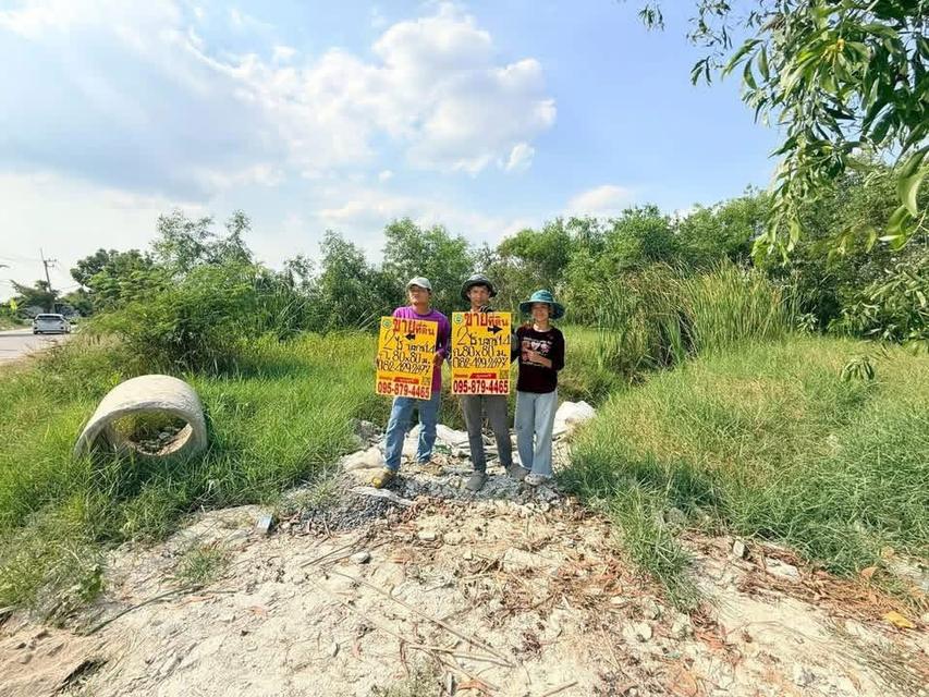 Vายที่ดินทำเลดี 2 ไร่ ติดถนนคอนกรีต ซอยบงกช 14 คลองสองปทุมธานี 1