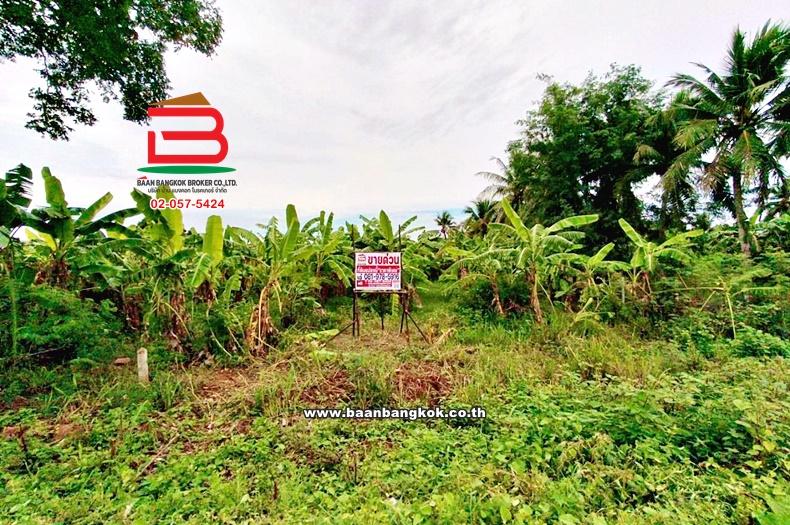 ที่ดินเปล่า เนื้อที่ 12-0-46.2 ไร่ ซอยปลายน้ำ ใกล้แยกปราณบุรี ถนนเพชรเกษม ตำบลเขาน้อย อำเภอปราณบุรี ประจวบคีรีขันธ์ 1