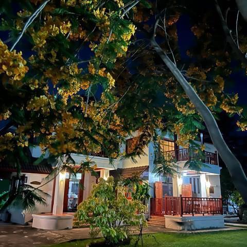 ขายบ้านเดี่ยว 2 ชั้น บ้านกอสะเลียม พร้อมเข้าอยู่ บรรยากาศร่มรื่น ทำเลดี สันกำแพง เชียงใหม่ 13