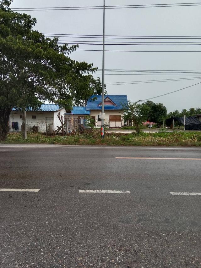 ที่ดินสวย 7