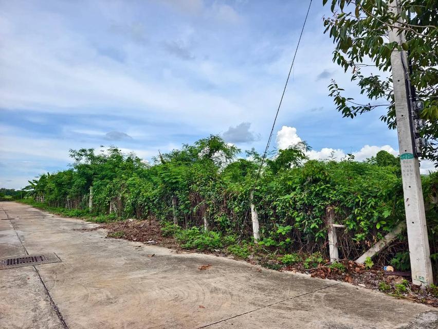 ขายที่ดิน 251.8 ตรว 7 ล้านบาท ใจกลางเมืองลำปาง เจ้าของขายเอง 2