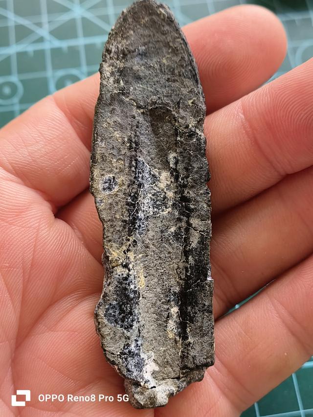 พระร่วงหลังรางปืนเนื้อชินเงิน รูปที่ 7