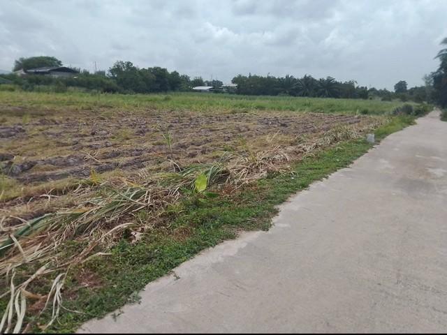 ให้เช่าที่ดินบ้านบึงชลบุรี #ให้เช่าที่ดินระยะยาวเนื้อที่ 9-3-68 ไร่ (2 โฉนด) ที่ดินอยู่ใกล้ถนนเส้น 344 ห่างจากท่าเรือแหล 5