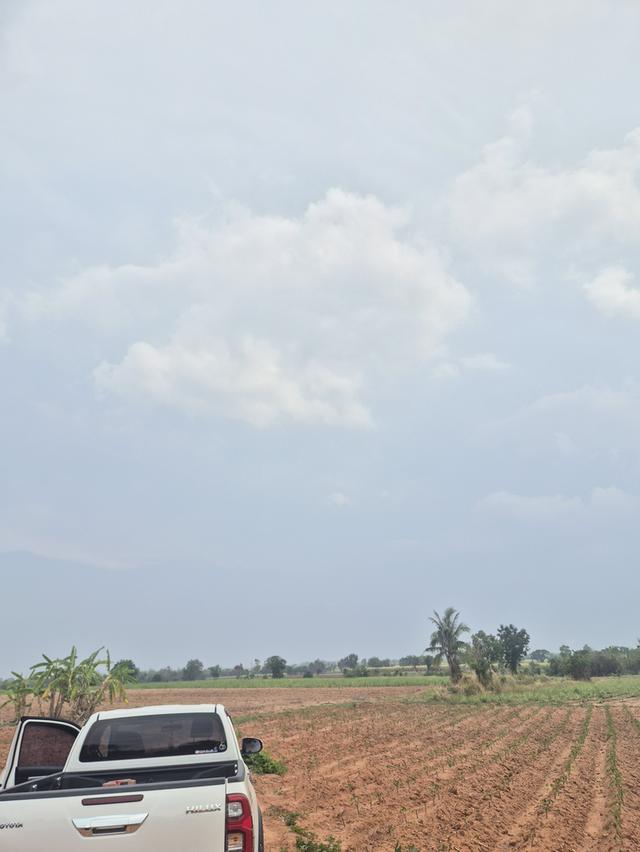 ขายที่ดิน 83 ไร่ ไร่ละ150,000 บาทต.พังเทียม อ.พระทองคำ จ.นครราชสีมา ที่ดินแปลงใหญ่ ทำเลดี เหมาะทำเกษตร รีสอร์ต หรือเก็งกำไรในอนาคต ✅ สามารถแบ่งขายได้ 13