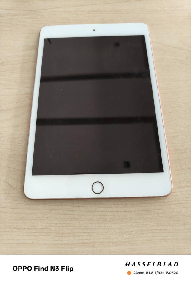 iPad mini 5 -256 GB Wifi+Cellular มือสอง  7