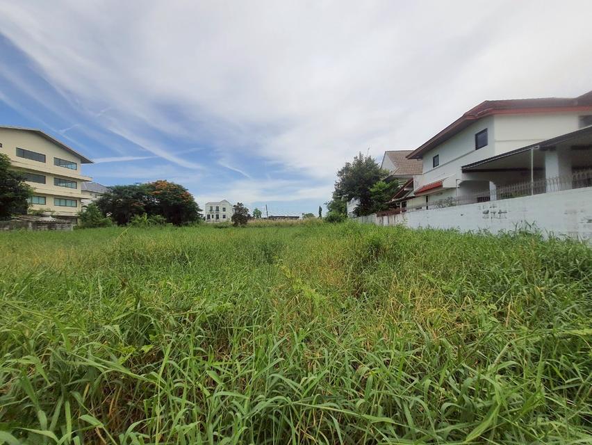 ที่ดิน 2