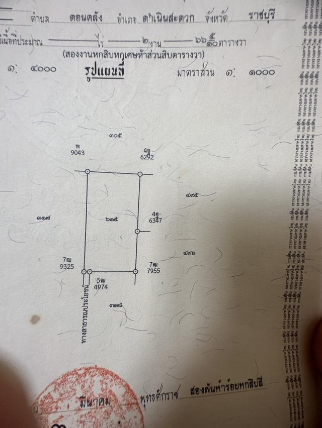 ที่ดินเปล่าถมแล้ว พร้อมปลูกบ้าน 2