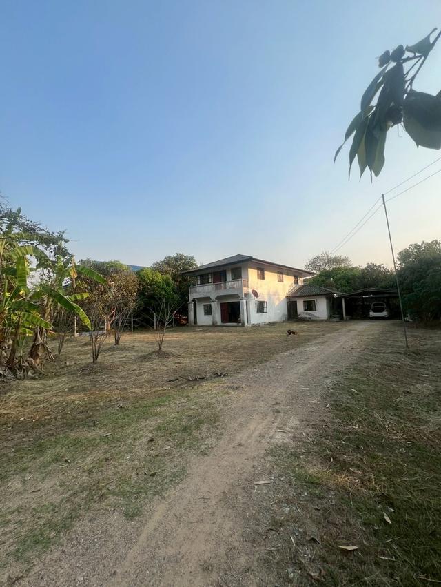ขายบ้านพร้อมที่ดิน ในพื้นที่ 425 ตรว. จ.ลำพูน 11