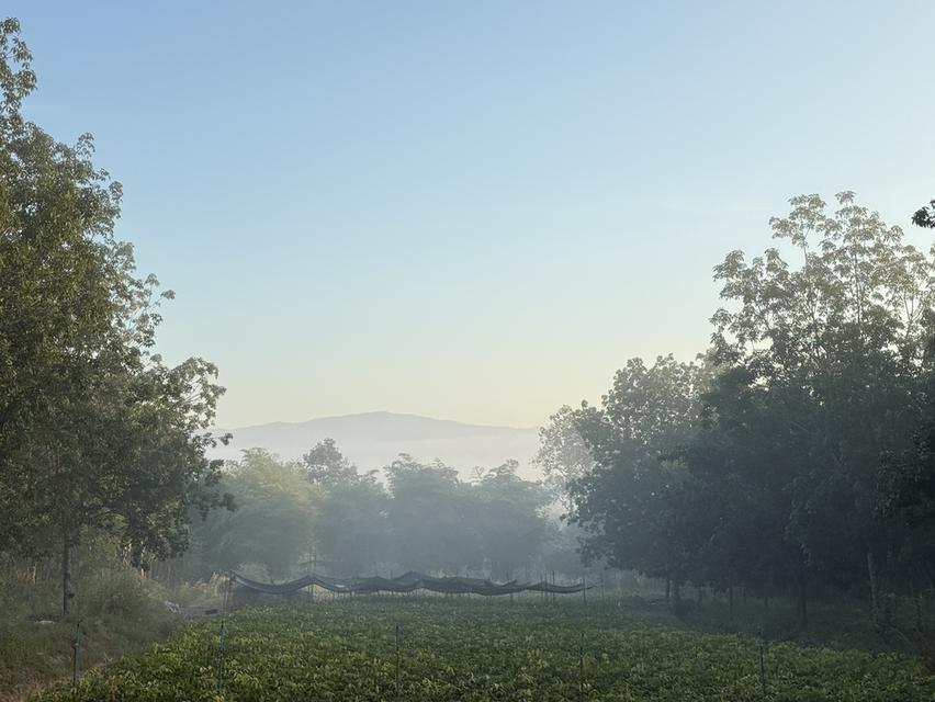 ขายที่ดิน พร้อมที่พักอาศัย 6