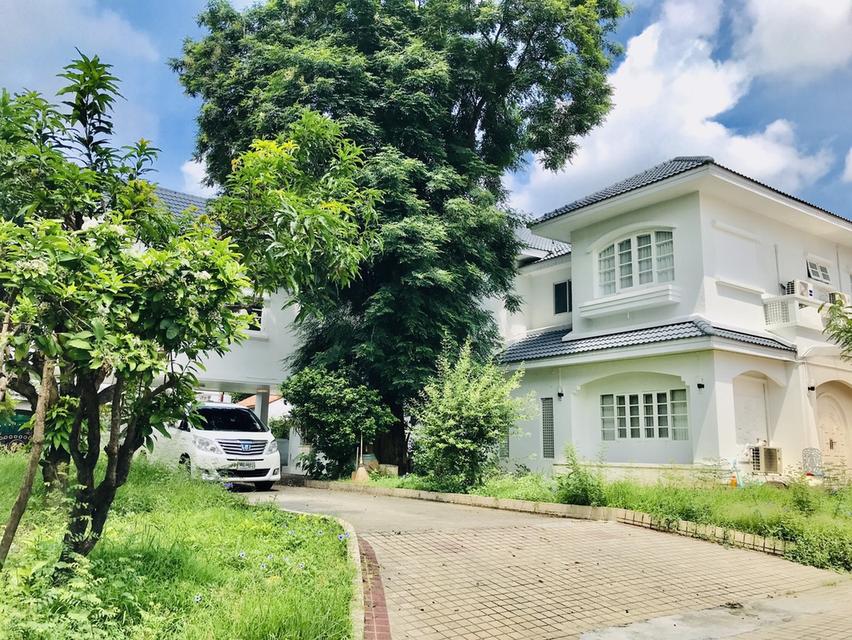 ขายด่วน บ้านลดาวัลย์ ปิ่นเกล้า บรมราชชนนี 185 ตรว บ้านสวย สงบ อากาศดี พื้นที่เยอะ 2