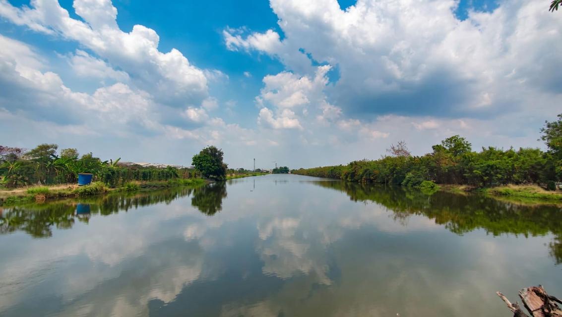 ที่ดินทำเลทอง ใกล้สนามบินสุวรรณภูมิเพียง 15 นาที ติดถนนวัดศรี จ.สมุทรปราการ 7