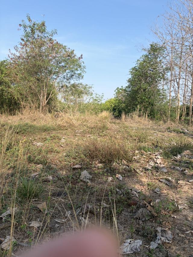 ที่ดินถมแล้ว มีสระพร้อมที่นา 7