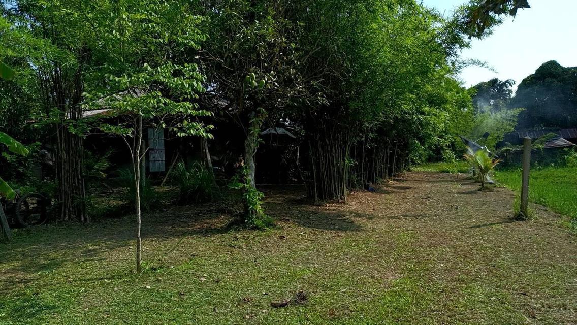 บ้านพร้อมที่ดินไร่นาสวนผสม 7