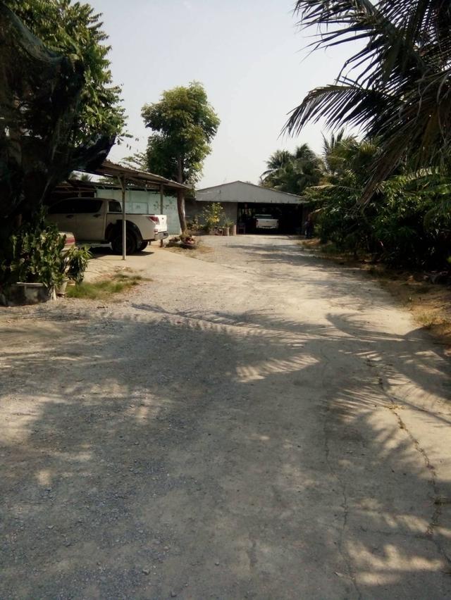 ขายที่ดินติดมอเตอร์เวย์ M8 นครชัยศรี 18 ไร่ 5