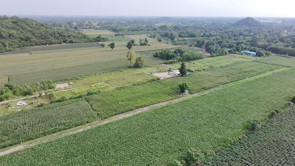 ขายที่ดินโฉนดครุฑแดงสระบุรี ราคาถูก1ไร่ 690,000หกแสนเก้าหมื่น บ้านหนองหว้า อ.เฉลิมพระเกียรติ จ.สระบุรี โทร098 513 6286 7