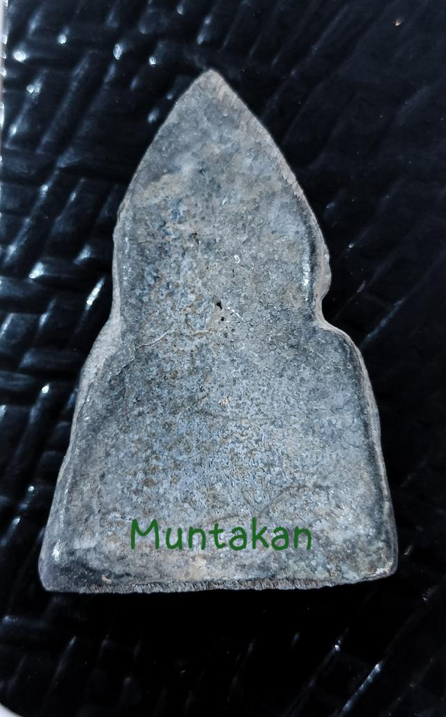 หลวงพ่อโตพิมพ์ปางป่าเลไลย์ รูปย่อยที่ 3