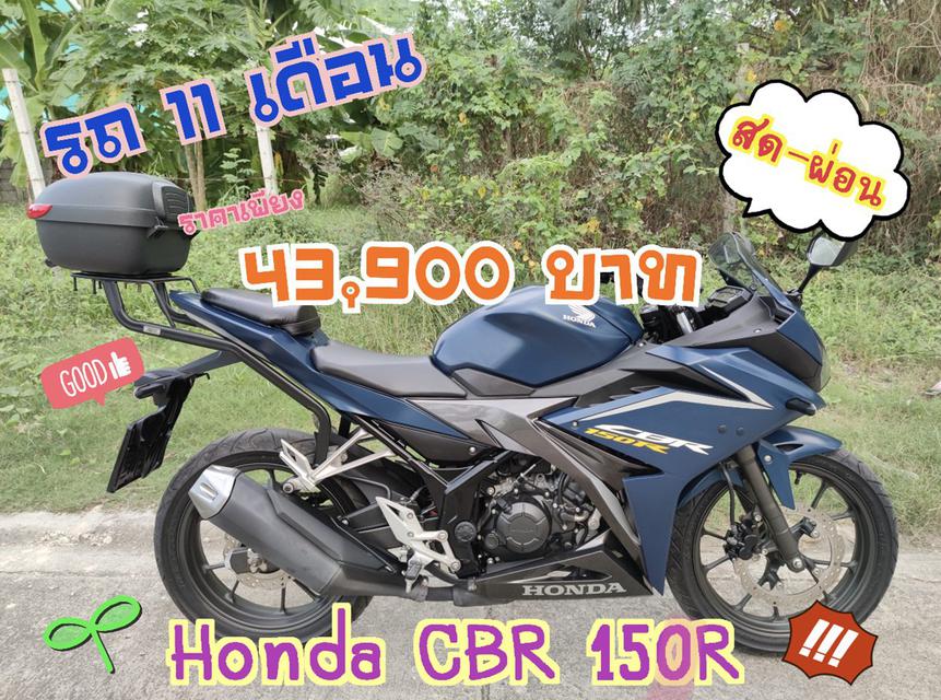  รถ 11 เดือน Honda CBR 150 R 1