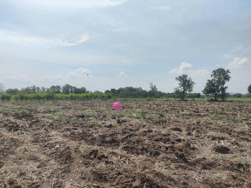 ประกาศขายที่ดินปากช่องแุถวรีสอร์ทบ้านนอกคอกนา ของฉันเอง 14