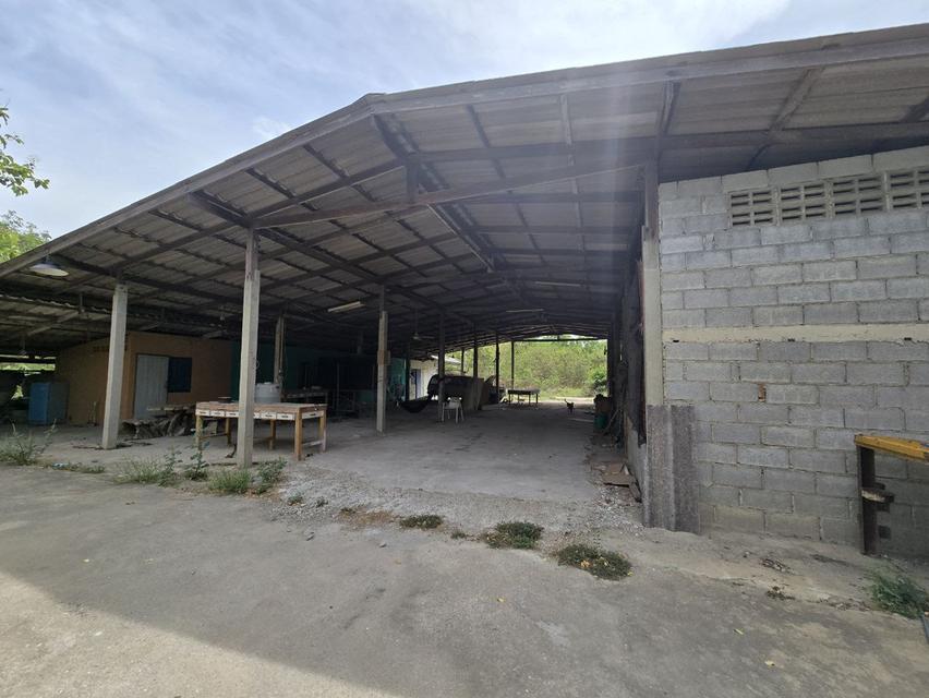  Land House and Warehouse Buildings for Sale —BangSai  11