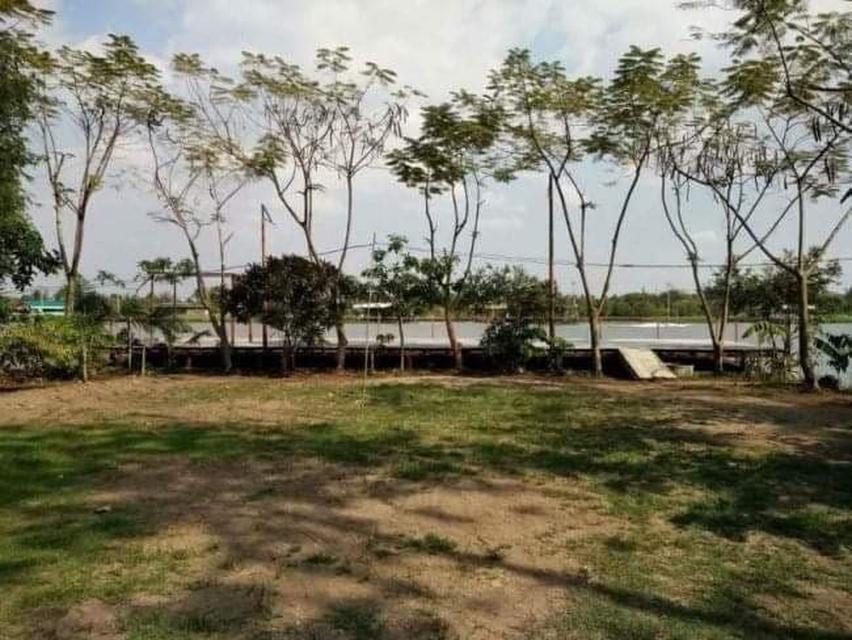 รูป ขายที่ติดแม่น้ำเจ้าพระยา 3ไร่ เหมาะทำบ้านพักรีสอร์ทริมน้ำ ตรงข้ามเกาะเกร็ดนนทบุรี มีระเบียงน้ำ วิวแม่น้ำสวยมากที่ถมแล้ว  5