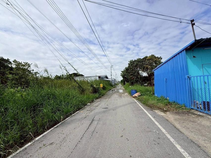 Vายด่วนที่ดินบ้านใหม่ 199 ตารางวาทติดถนนลาดยาง มีไฟฟ้า 3 เฟส ซอย เคหะ-บ้านใหม่ 21 อ.บางใหญ่ จ.นนทบุรี 7