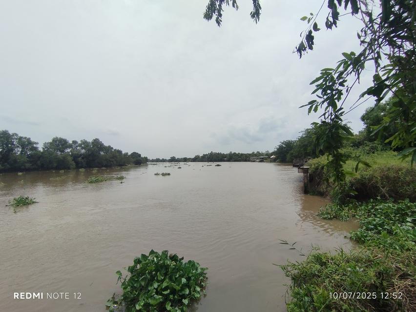 ที่ดินริมน้ำบางปะกง 30 ไร่เศษ ติดถนนใหญ่ + ติดแม่น้ำ วิวสวย ศักยภาพสูง เหมาะลงทุนรีสอร์ท พูลวิลล่า หรือโครงการท่องเที่ยวครบวงจร 4