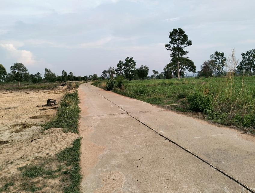 ขายที่ดิน7ไร่ ติดถนนคอนกรีต ระหว่างบ้านยิ่งสันไปบ้านสังคม ต.หลักเหลี่ยม อ.นามน จ.กาฬสินธุ์