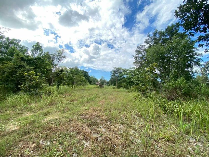 ขายที่ดิน เมืองพล จังหวัดขอนแก่น 4