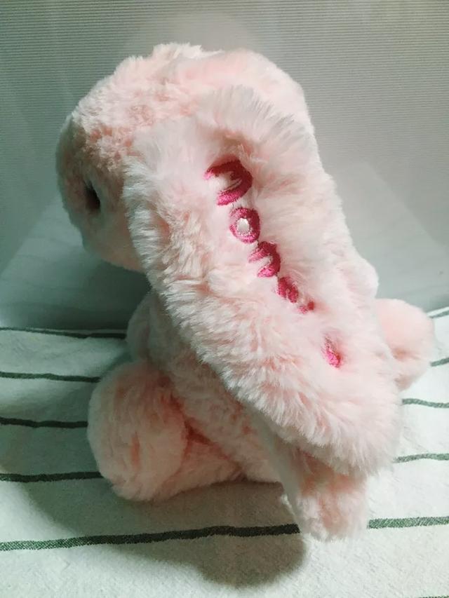 ขายตุ๊กตากระต่าย Jellycat 3