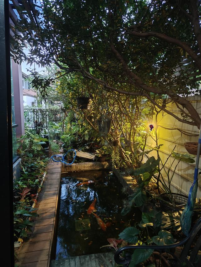 บ้านเดี่ยวซอยรามคำแหง94 หมู่บ้านอควา ดิวิน่า Aqua Divina โซนรามคำแหง ใกล้ MRT สีส้ม สะพานสูง จอดรถได้ 4 คัน จำนวน 3-4 ห้องนอน 6