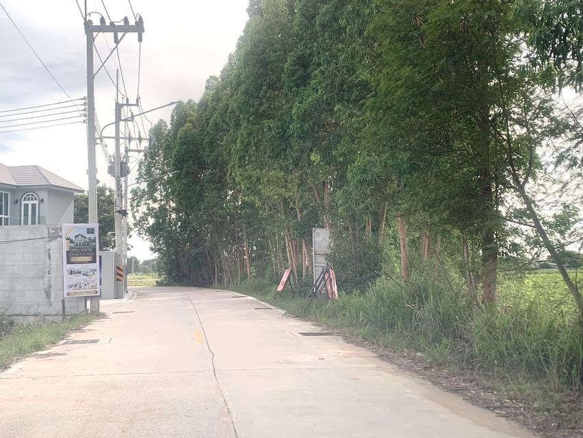 ขายที่ดินใกล้ถนนข้าวหลาม 16 ไร่ ติดทาง 2ด้าน ตรงข้ามโรงเรียนสารสาสน์วิเทศบูรพา ที่ดินเข้า-ออกได้หลายทาง 3