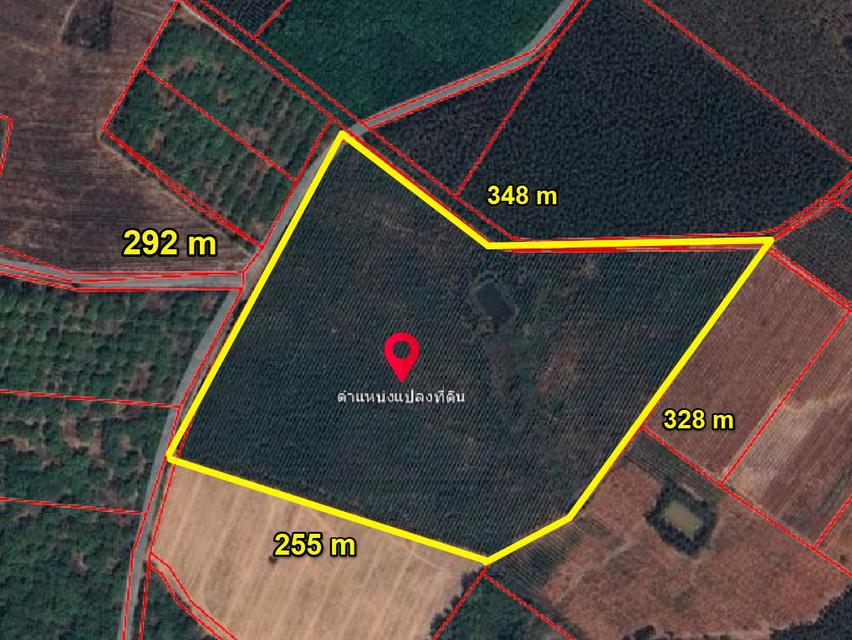 ขายที่ดินบ้านแก้ง 49 ไร่ ราคาไร่ละ250,000฿ ใกล้ถนนสุวรรณศร33-5.1กม. เมืองสระแก้ว
