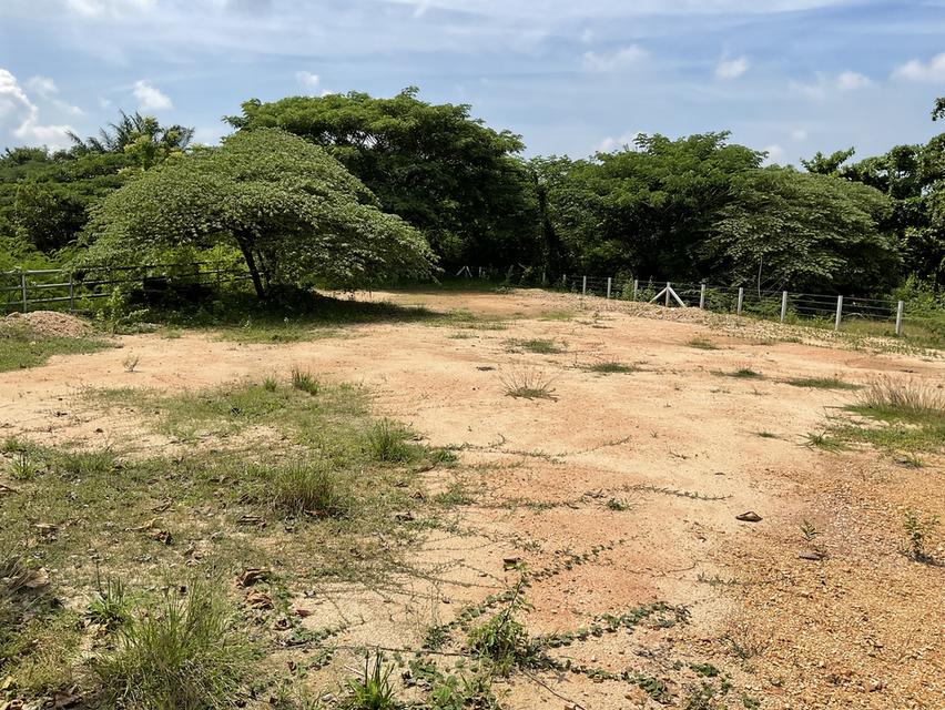 ขายที่ดิน 1 งาน 49 ตารางวา (บางแฟบ หาดใหญ่) 5