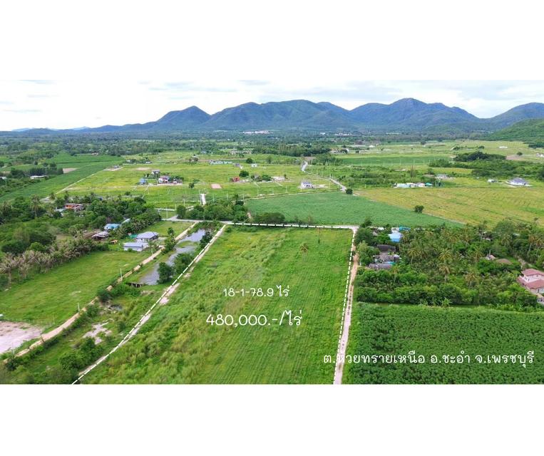 ขายที่ดินชะอำ หัวหิน เพชรบุรีแปลงสวย วิวเขา ไร่ละ480,000.- ขายยกแปลง 2