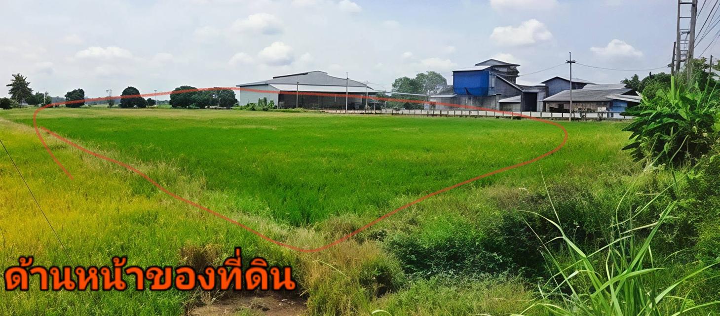 ที่ดิน ตำบล ท่างาม อำเภอ อินทร์บุรี จังหวัดสิงห์บุรี 2