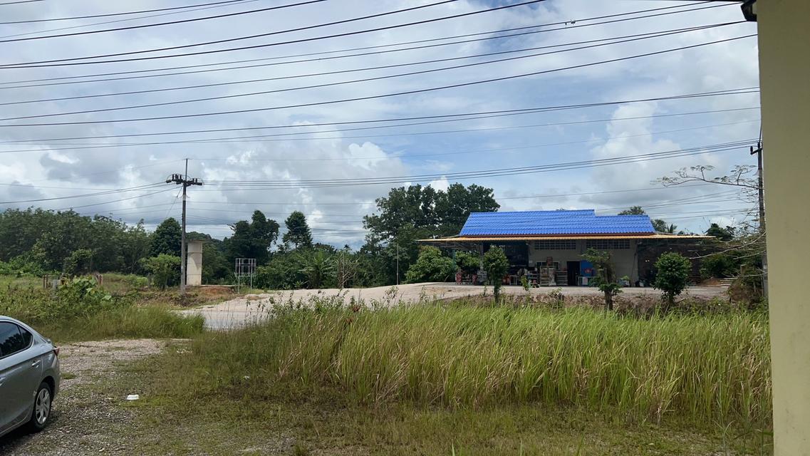 ที่ดินเปล่าจังหวัดตรัง 2