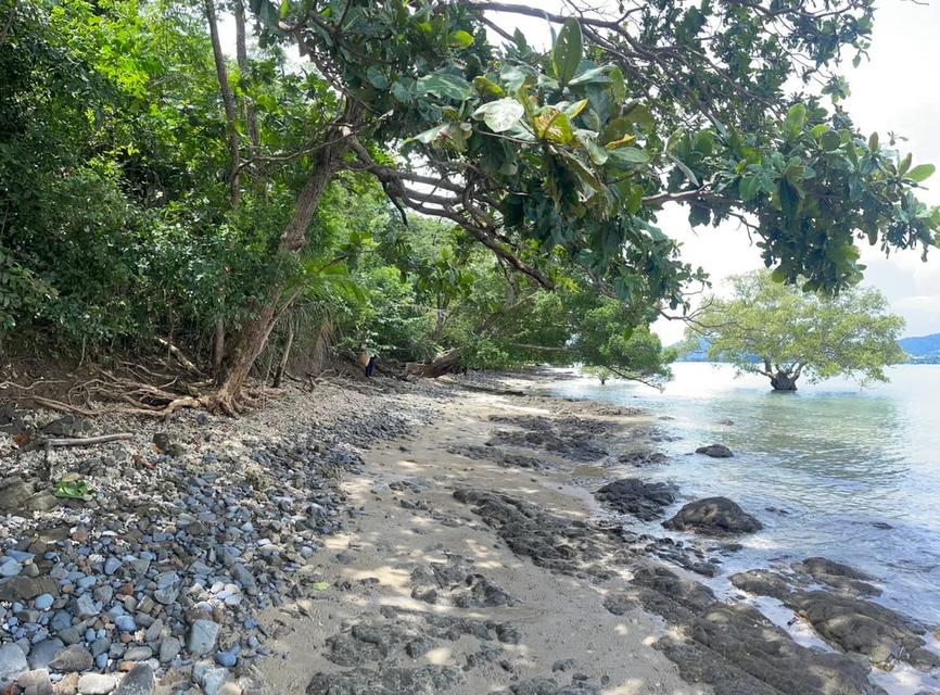 ขายที่ดินติดหาด เกาะโหลน จังหวัดภูเก็ต 6