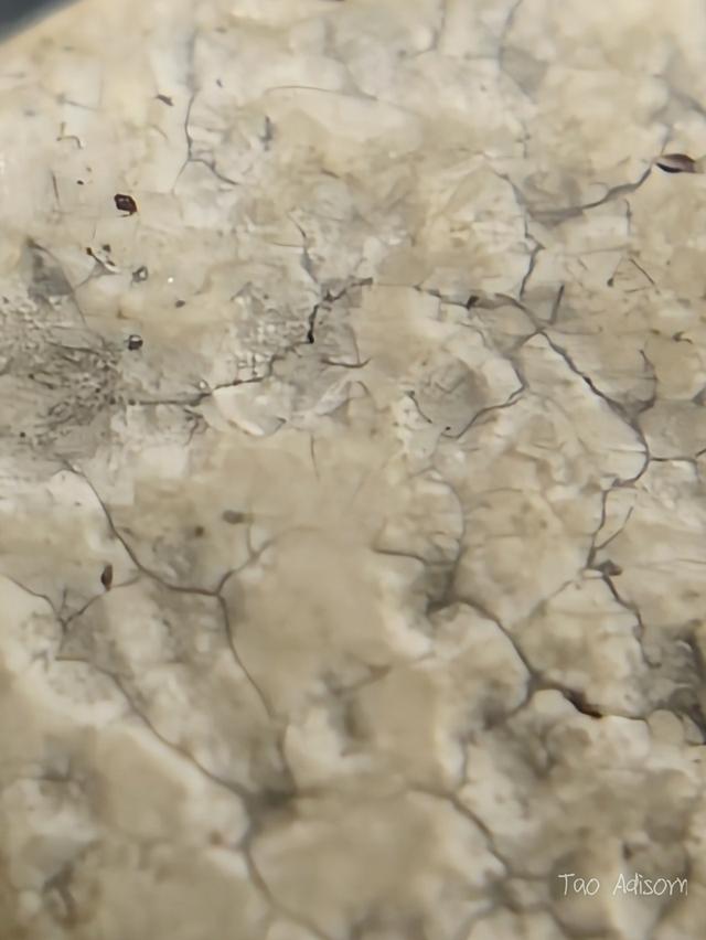 พระสมเด็จวัดระฆังโฆสิตาราม 13