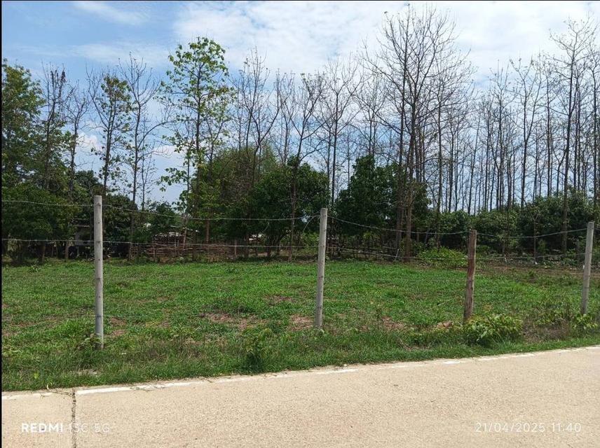 ขายที่ดินลำปาง เสริมงาม 4