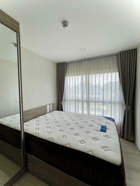 Plum Condo Sukhumvit 97.1 5