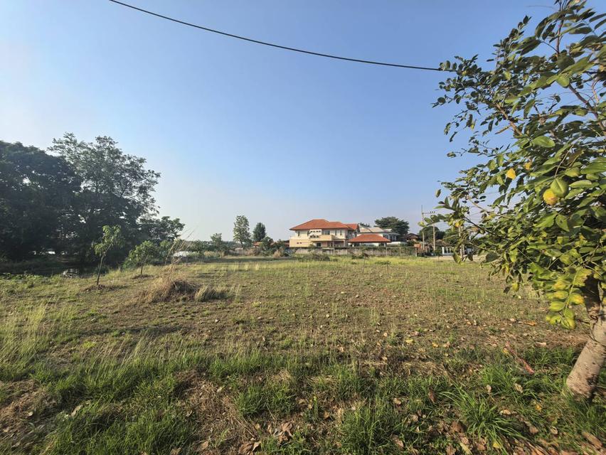⛳ เหมาะสำหรับปลูกสร้างบ้าน 🏡ในโครงการหมู่บ้านเดอะลากูน1 อำเภอสามโคก จังหวัดปทุมธานี ติดละเลสาป 14