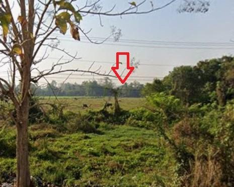 ที่ดินเปล่าดอยสะเก็ด เชียงใหม่ ติดทางหลวงหมายเลย 118 ราคาดีสุดๆ 4