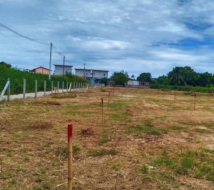 ขายที่ดินหนองขามถมแล้ว 3 ไร่ ติดถนนซอย6ชุมชนหนองค้อ ใกล้นิคมปิ่นทอง2-4กม.ใกล้ท่าเรือแหลมฉบัง-13กม. อ.ศรีราชา ชลบุรี