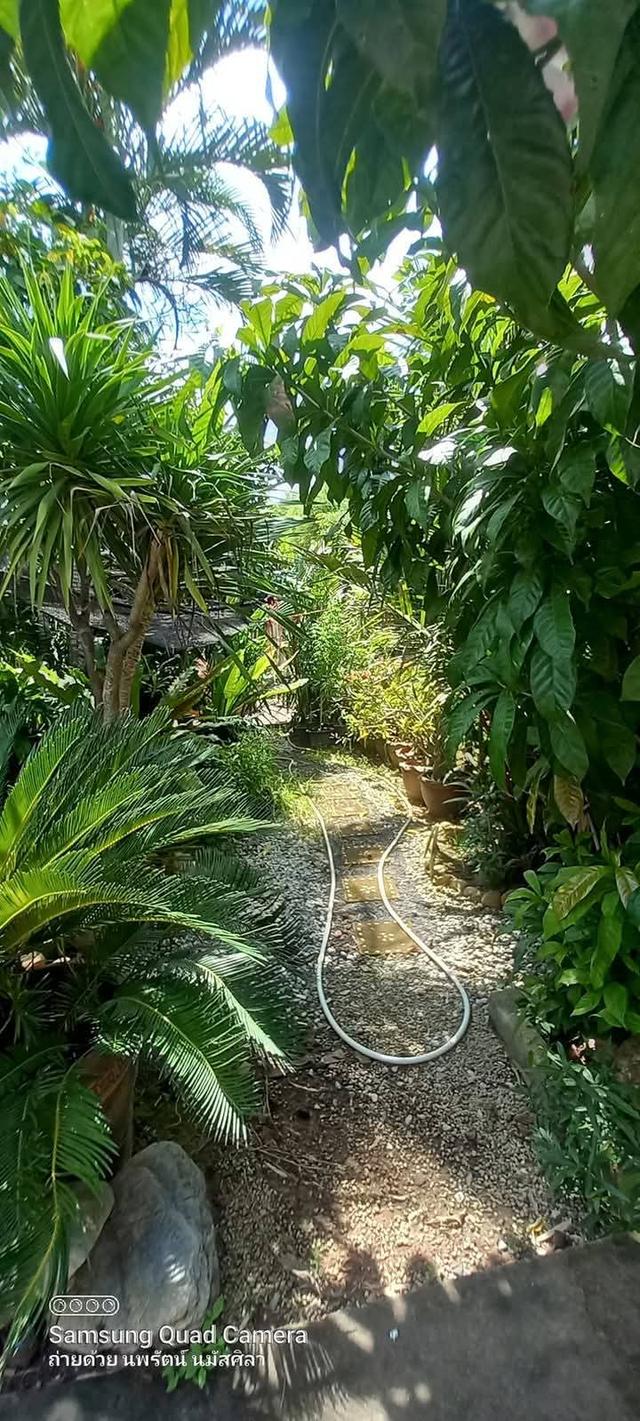 บ้านที่ดินพร้อมคาร์แคร์ล้างรถอู่ซ่อมรถอุปกรณ์ครบวงจร