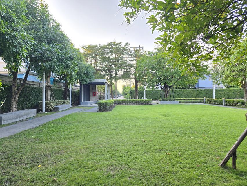 บ้านเดี่ยว Centro ศรีนครินทร์–บางนา ใกล้สวนหลวง ร.9 8
