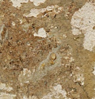 สมเด็จวัดระฆัง พิมพ์ใหญ่ 3