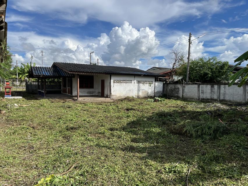 บ้านมือ2 และที่ดินในชุมชนติดถนนสาธารณะเชียงใหม่ใกล้เมือง 2