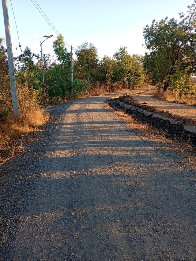 ที่ดินทุ่งนา 31 ไร่ 2 งาน 39 ตารางวา นส3. ติดคลองชลประทาน ใกล้ปั๊มน้ำมัน ห่างโรงพยาบาลโขงเจียม7กม. จ.อุบลราชธานีโขงเจียม รูปที่ 8