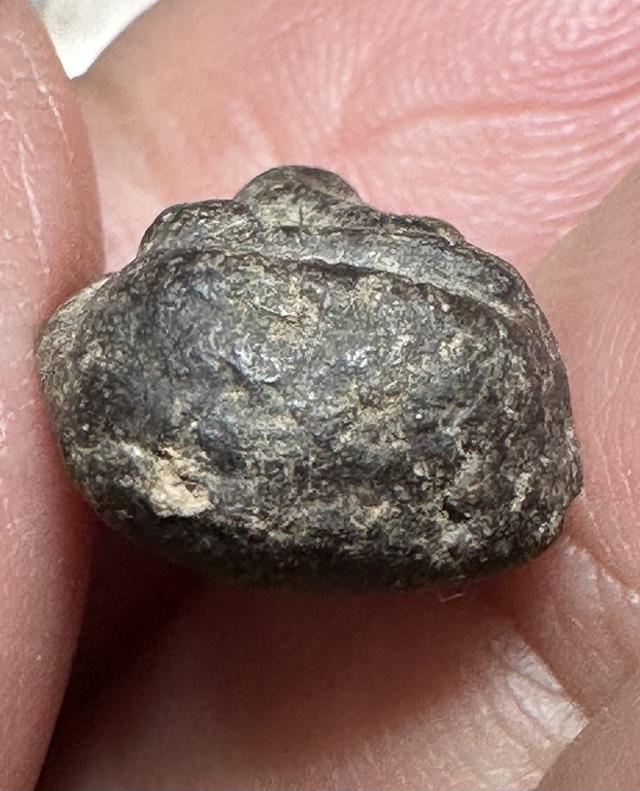 พระปิดตา เนื้อผงคลุกรัก ไม่ทราบที่ รูปที่ 5