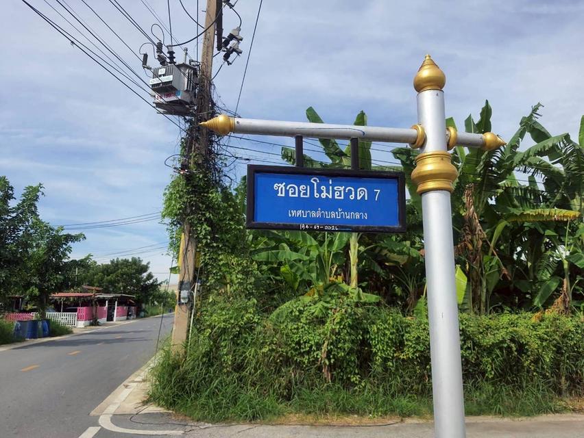 ร้อนเงินVายถูก ที่ดินบ้านกลาง 244 ตารางวา ติดถนนคอนกรีตสาธารณะ ซอย โม่ฮวด 7 เมืองปทุมธานี 5